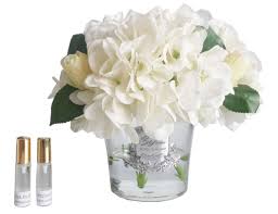 Cote Noire Hydrangeas in Round Vase