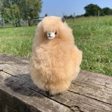 Real Alpaca Fur Toys